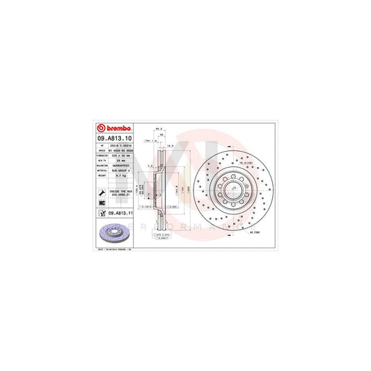 BREMBO COATED DISC LINE 09.A813.11 Brake Disc for AUDI A4 Perforated / Vented, Coated, High-carbon, with bolts/screws | ML Performance Car Parts
