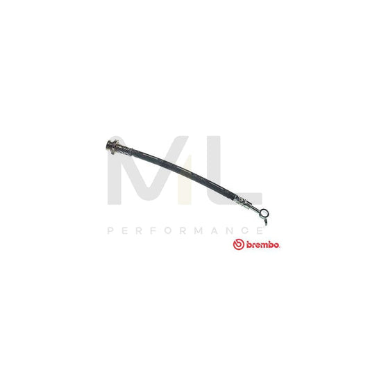 BREMBO T 56 162 Brake Hose 255mm, F10X1 | ML Performance Car Parts