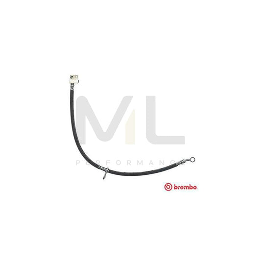 BREMBO T 28 105 Brake Hose for HONDA CIVIC 540mm, 10 | ML Performance Car Parts