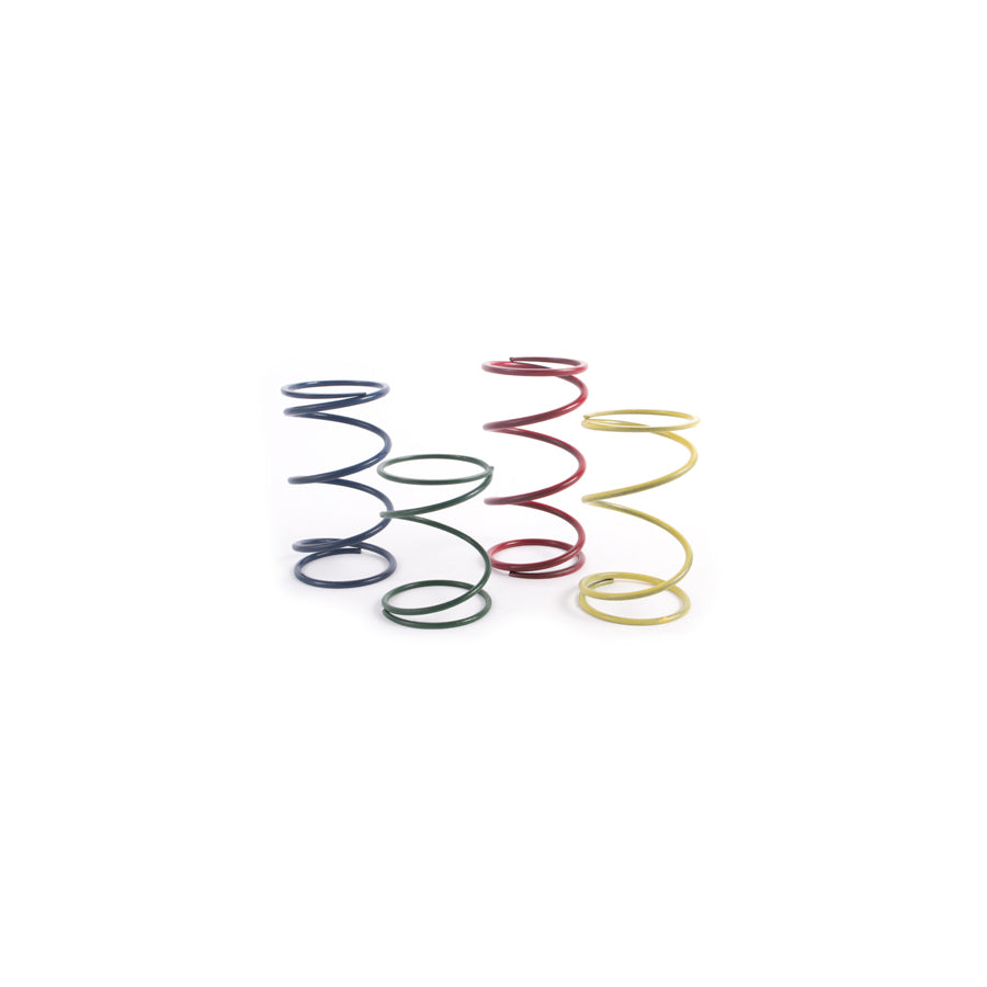 Forge FMWCSPK FMWCW1 Spring Kit | Casma Car Parts