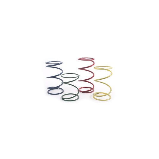 Forge FMWCSPK FMWCW1 Spring Kit | Casma Car Parts