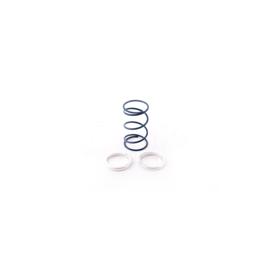 Forge FMWCS Wastegate Springs & Shims | Casma Car Parts
