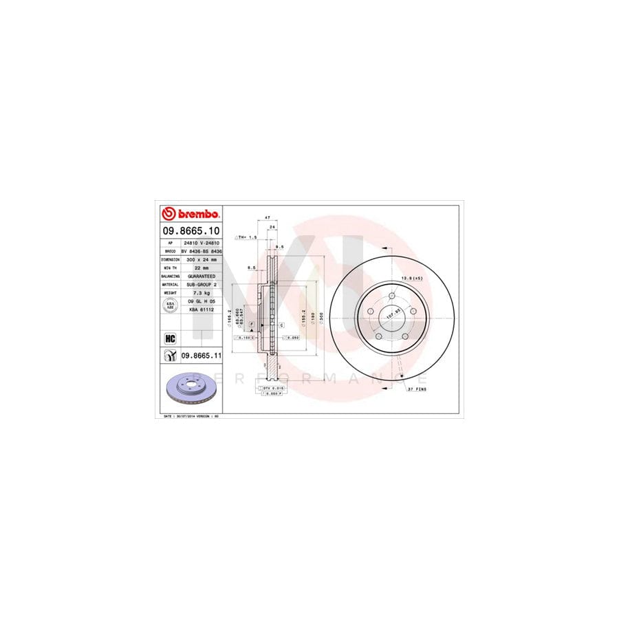BREMBO 09.8665.10 Brake Disc Internally Vented, High-carbon | ML Performance Car Parts