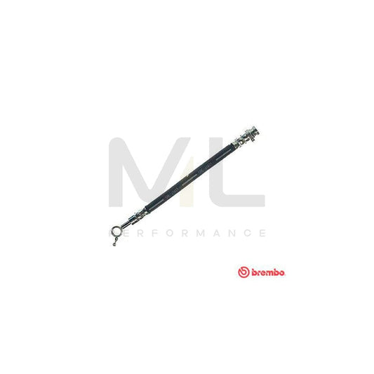 BREMBO T 56 160 Brake Hose 220mm, F10X1 | ML Performance Car Parts