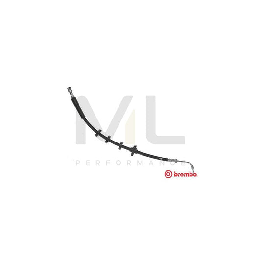 BREMBO T 61 089 Brake Hose for PEUGEOT 406 565mm, M10X1 | ML Performance Car Parts