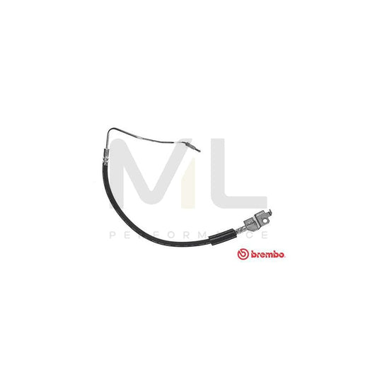 BREMBO T 24 070 Brake Hose for FORD ESCORT 425mm, M10X1 | ML Performance Car Parts